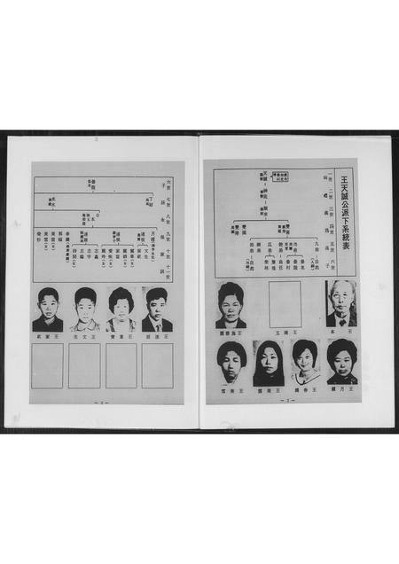 福建王氏族谱-安溪王氏家谱.pdf电子版插图4