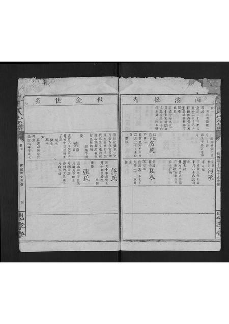 福建丁氏族谱-丁氏宗谱.pdf电子版插图4