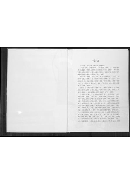福建王氏族谱-泉州王氏百家祠.pdf电子版插图4