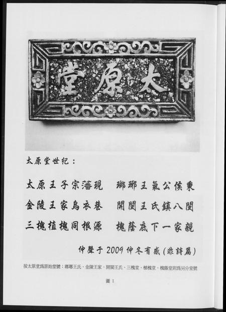 福建王氏族谱-王氏宗谱.安溪蓬州渡台.pdf电子版插图4