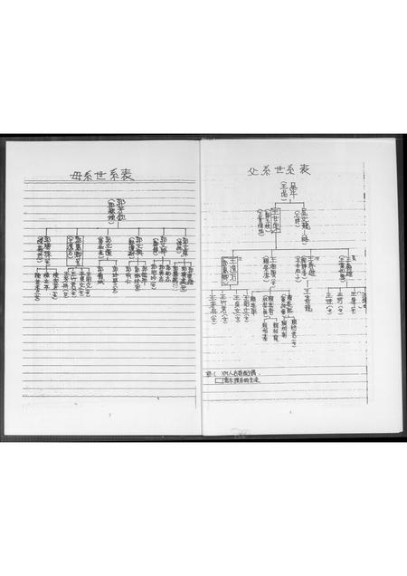 福建王氏族谱-王氏家谱.pdf电子版插图4