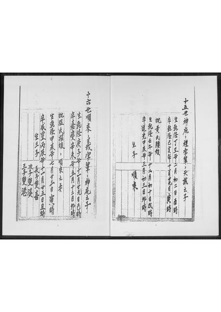 福建王氏族谱-王氏家谱.安溪派.pdf电子版插图4