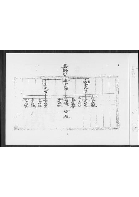 福建王氏族谱-王氏族谱.pdf电子版插图4