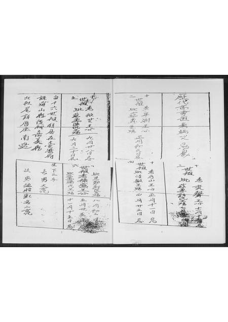 福建王氏族谱-王氏族谱.禄盛公支系.pdf电子版插图4