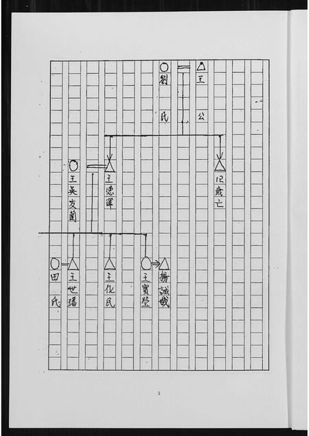福建王氏族谱-王氏母系家谱.pdf电子版插图4