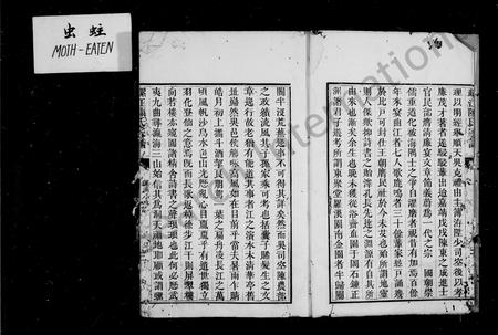 福建陈氏族谱-螺江陈氏家谱.pdf电子版插图5 福建陈氏族谱-螺江陈氏家谱.pdf电子版插图5