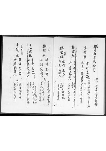 福建王氏族谱-种德堂 王圣本户永兴号族谱.pdf电子版插图5
