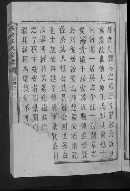 福建王氏族谱-绥安王氏宗谱 [不分卷].pdf电子版插图5