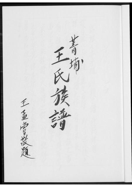 福建王氏族谱-菁埔王氏族谱.pdf电子版插图5