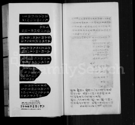 福建王氏族谱-西清王氏族谱.pdf电子版插图5