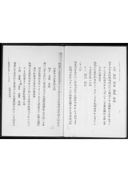 福建王氏族谱-开闽忠懿王氏族谱.pdf电子版插图5