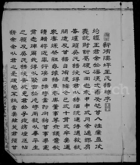 福建王氏族谱-磻溪隩坪王祠谱牒.pdf电子版插图5 福建王氏族谱-磻溪隩坪王祠谱牒.pdf电子版插图5