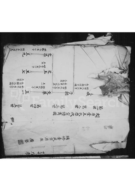福建王氏族谱-[王氏族谱].pdf电子版插图5