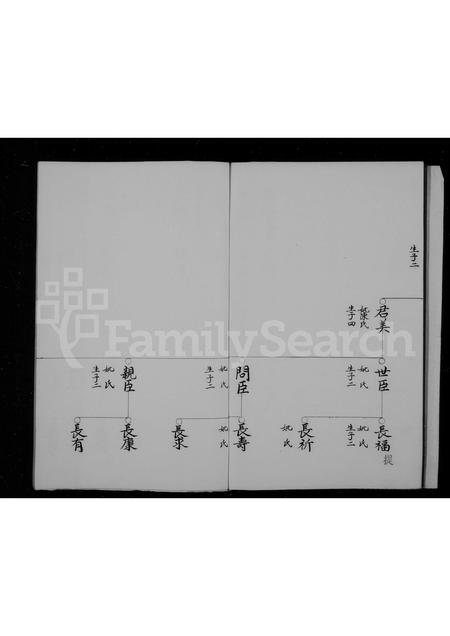 福建王氏族谱-太原郡王氏支谱.pdf电子版插图5