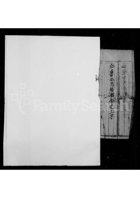 福建未知族谱-[石忠阳派下家谱].pdf电子版插图5