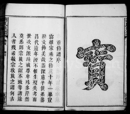 福建谢氏族谱-谢氏族谱 [37卷,及卷首].pdf电子版插图5