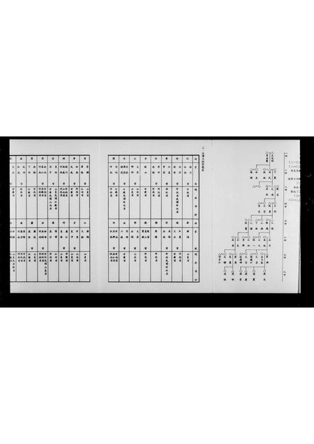 福建云氏族谱-云恩世系表.pdf电子版插图5