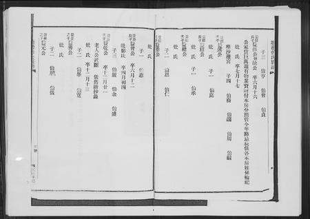 福建张氏族谱-塘边张氏族谱.pdf电子版插图5