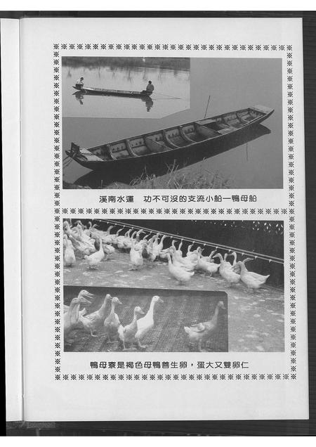 福建张氏族谱-张家族谱.pdf电子版插图5