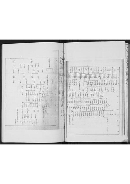 福建张氏族谱-[张氏]清河金鱼世谱.pdf电子版插图5