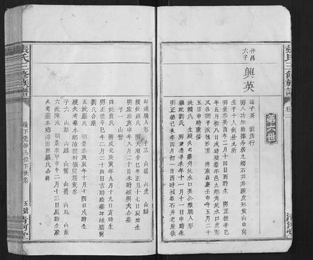 福建张氏族谱-张氏三修族谱[3卷].pdf电子版插图5