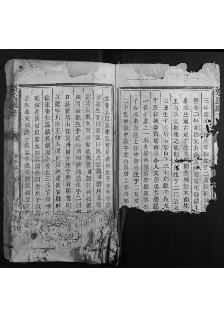 福建张氏族谱-张氏总谱.pdf电子版插图5 福建张氏族谱-张氏总谱.pdf电子版插图5