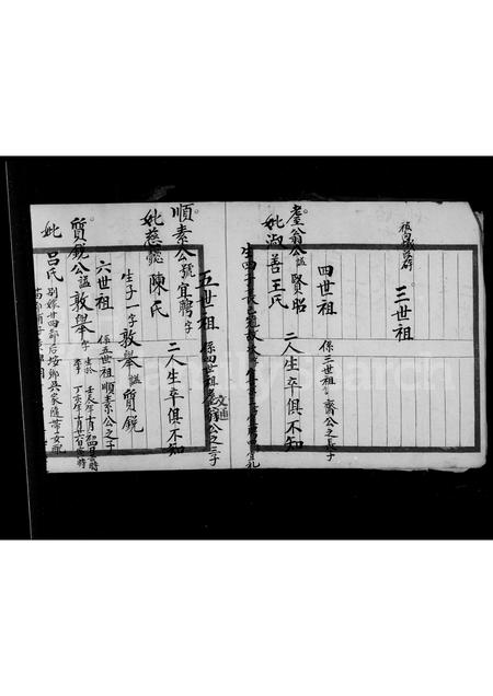 福建张氏族谱-龙屿张氏长分派三房三家谱.pdf电子版插图5