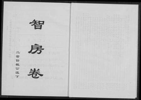 福建郭氏族谱-百奇郭氏回族宗谱.pdf电子版插图5