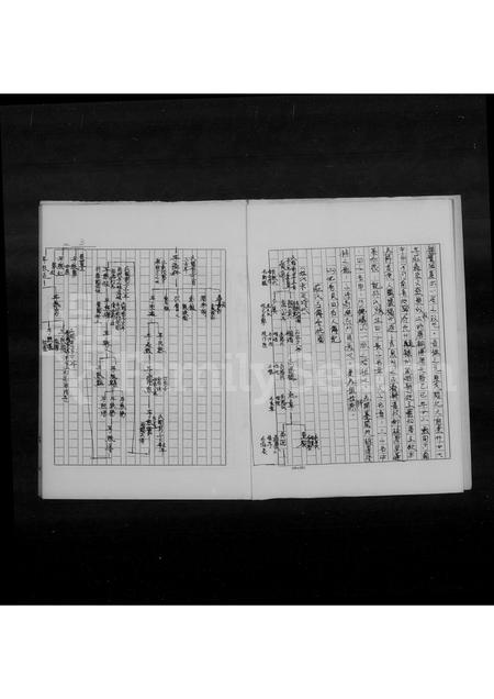 福建庄氏族谱-锦绣山天水堂庄氏族谱.pdf电子版插图5