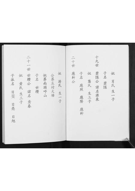 福建陈氏族谱-陈氏族谱.pdf电子版插图5