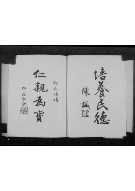 福建韩氏何氏蓝氏族谱-韩何蓝氏族谱.pdf电子版插图5