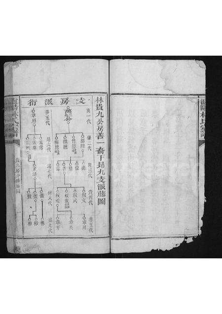 福建林氏族谱-泸阳林氏宗谱 [不分卷].pdf电子版插图5