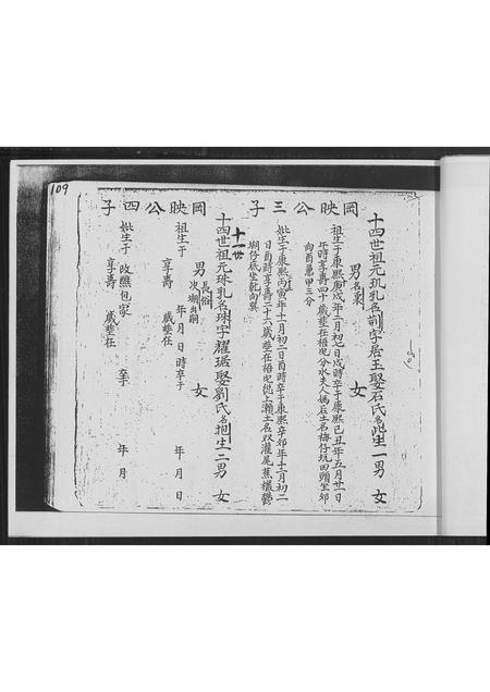福建林氏族谱-南靖县正本复印林氏族谱 _ 顶次房弘仕公世系派 [不分卷].pdf电子版插图5