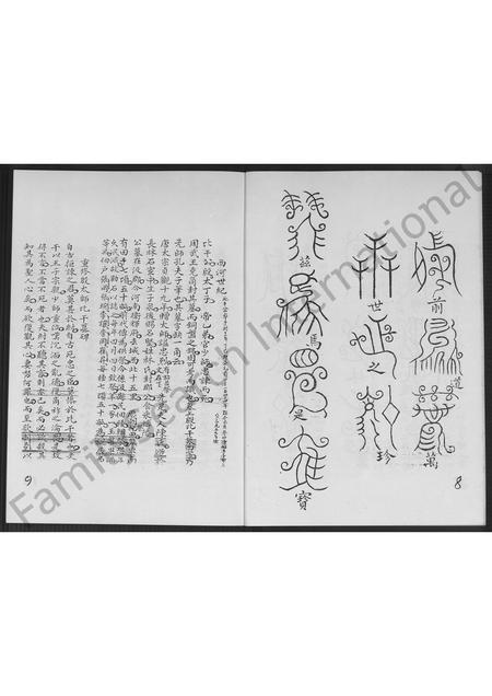 福建林氏族谱-福建省南靖县分支林氏族谱 [不分卷].pdf电子版插图5