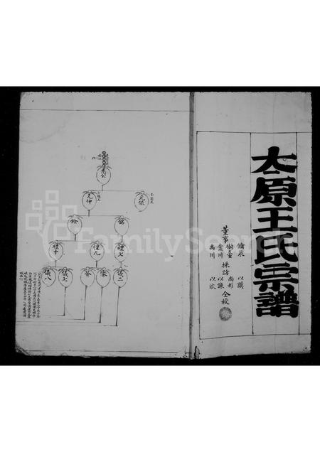 福建王氏族谱-太原王氏宗谱.pdf电子版插图5