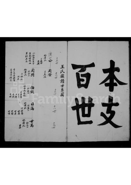 福建王氏族谱-王氏家谱 _ 霍三公支.pdf电子版插图5