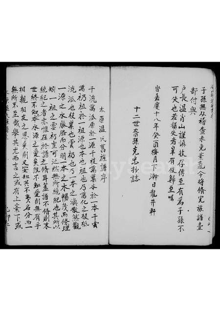 福建温氏族谱-龙溪太原温氏衍派温氏族谱.pdf电子版插图5