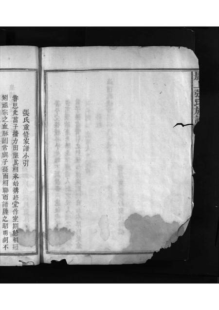 福建张氏族谱-巖上张氏族谱 [不分卷].pdf电子版插图5