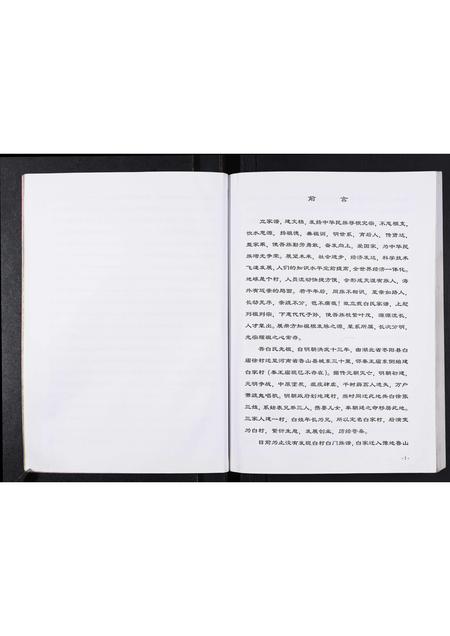 河南白氏族谱-白村白氏家谱.pdf电子版插图5