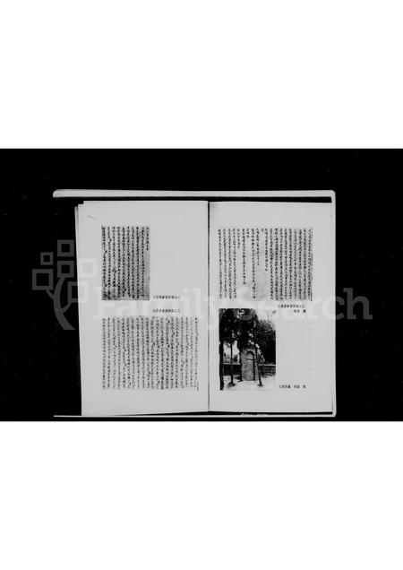 河南白氏族谱-白居易家谱.pdf电子版插图5