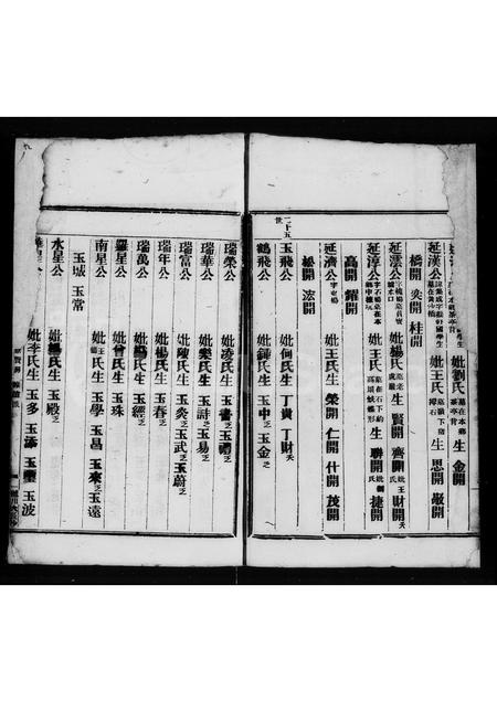 广东蔡氏族谱-潮阳辟望蔡氏族谱.pdf电子版插图5