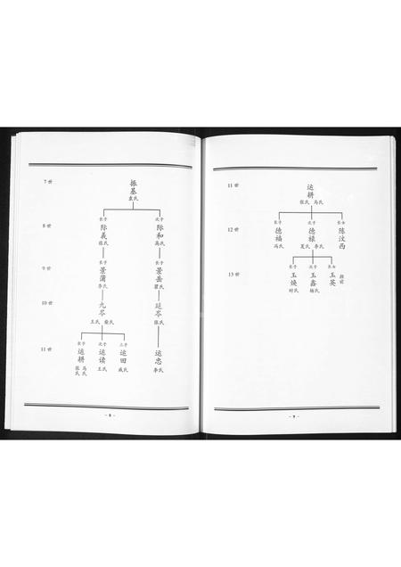河南程氏族谱-程氏家谱.pdf电子版插图5