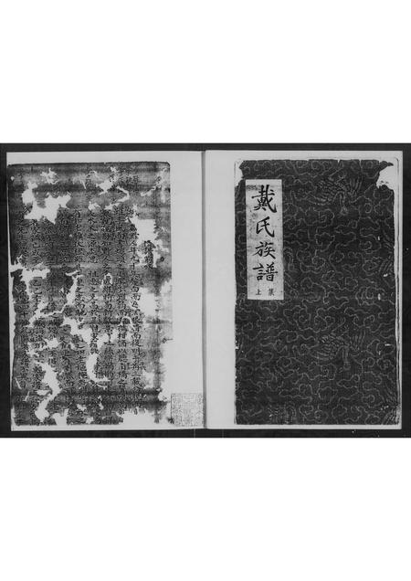 广东戴氏族谱-戴氏族谱 [上下集].pdf电子版插图5