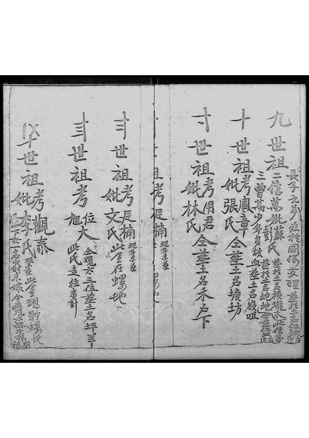 广东杜氏族谱-杜氏族谱.pdf电子版插图5