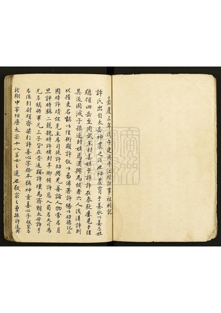 广东许氏族谱-水步许氏族谱.pdf电子版插图5