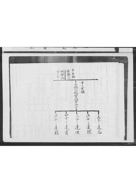 广东赖氏族谱-赖氏族谱.pdf电子版插图5