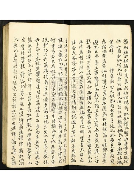 广东李氏族谱-[李氏]小族谱.pdf电子版插图5