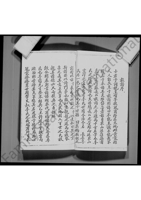 广东李氏族谱-宝安县船湾涌尾李氏族谱.pdf电子版插图5