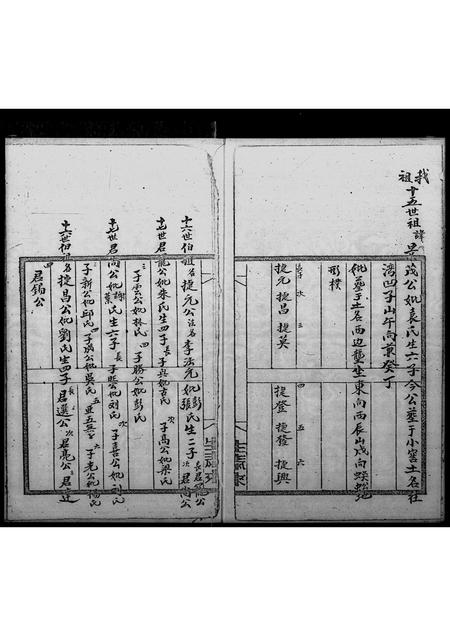 广东李氏族谱-[李氏]乌蛟腾十四世开基始祖.pdf电子版插图5