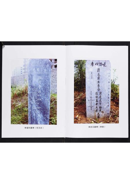 河南李氏族谱-李氏家谱[不分卷].pdf电子版插图5